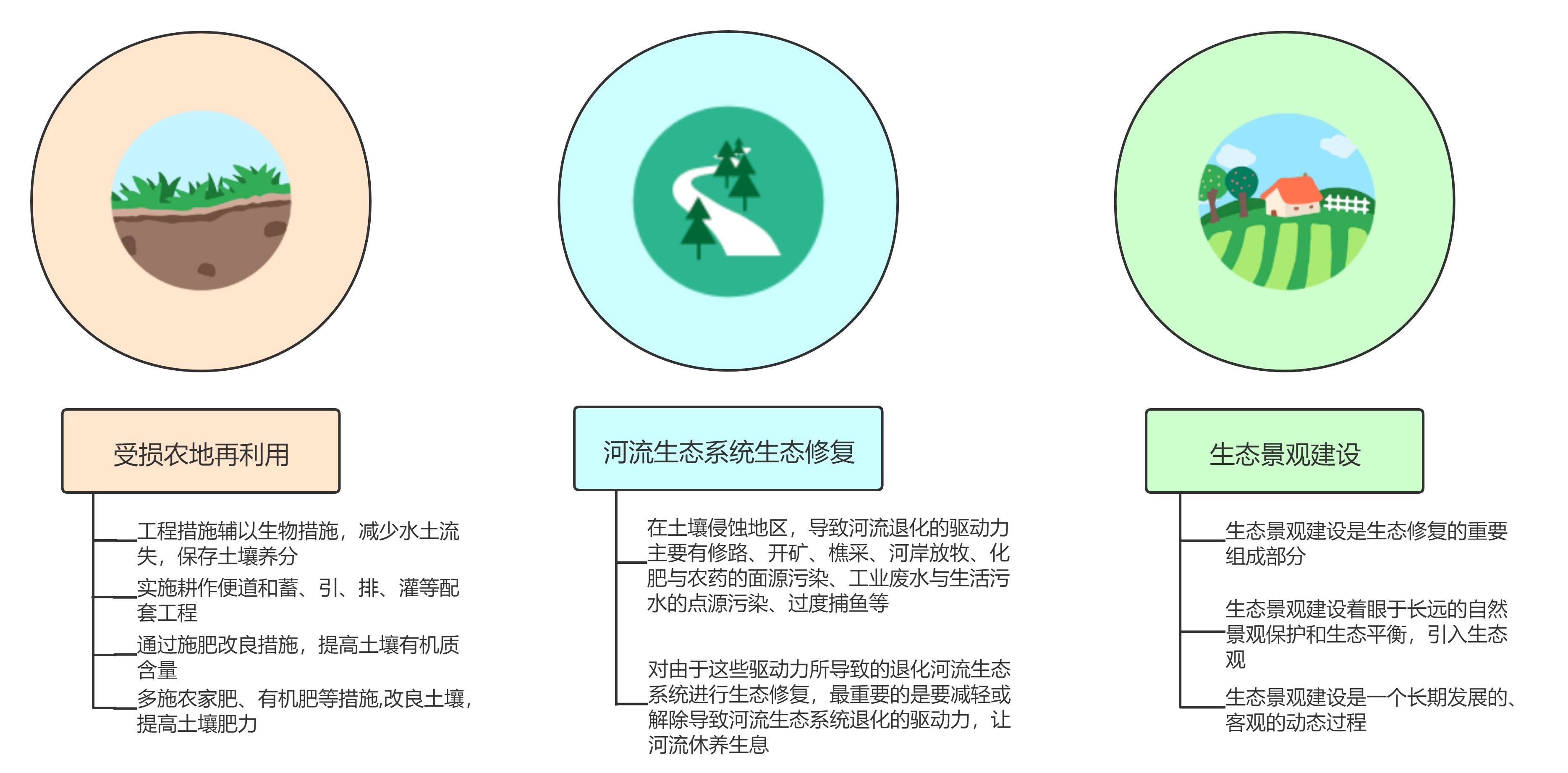 生态修复2.jpg