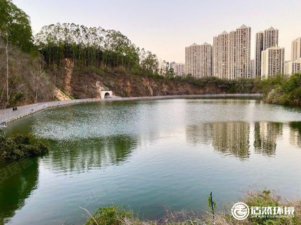 海口市鸭尾溪黑臭水体河道治理